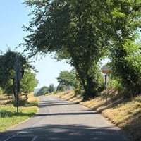 Radweg_klw_quer.jpg